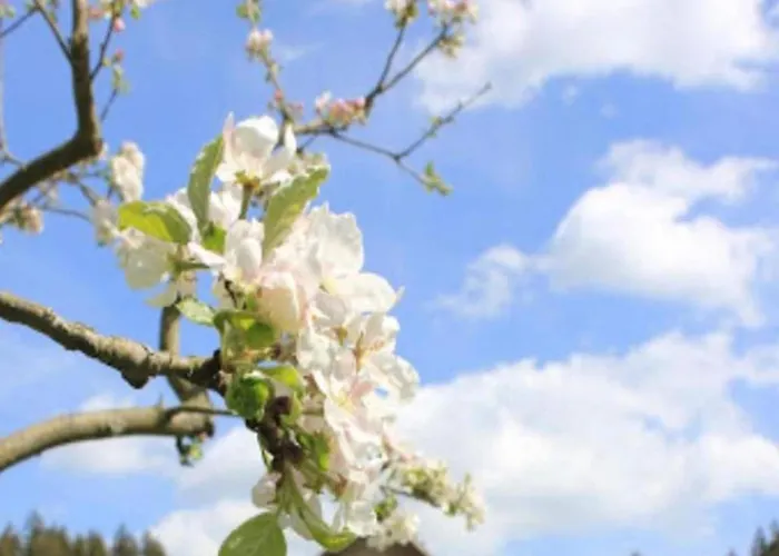 Lakeside Comfort With Garden Appartement Burgk (Saale-Orla-Kreis)